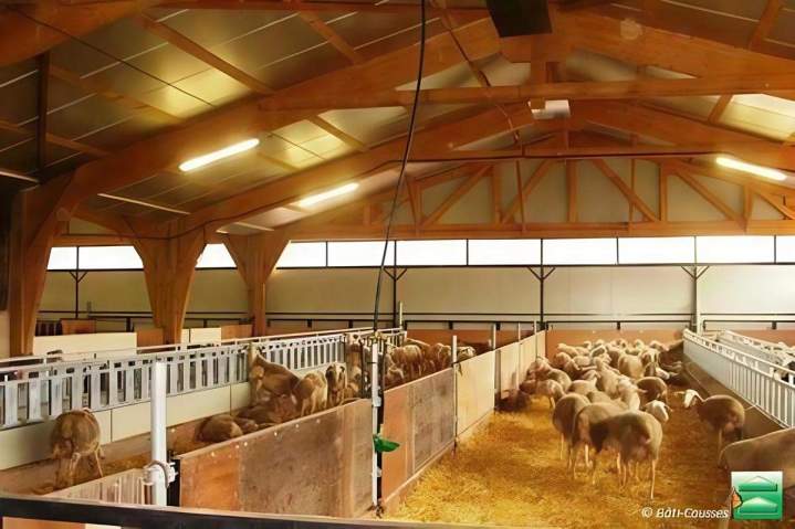 Construction de bergerie et chèvrerie en Lozère Occitanie