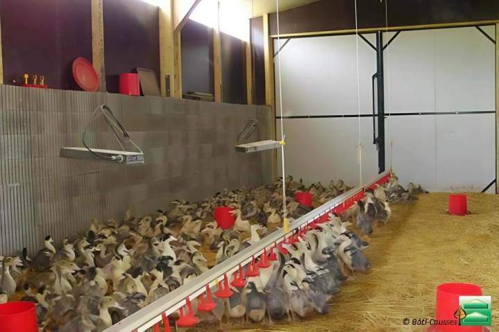 Construction de poulaillers et infrastructures pour élevage Occitanie