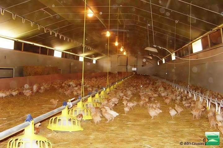 Construction de poulaillers et autres bâtiments pour l'élevage de volailles Occitanie