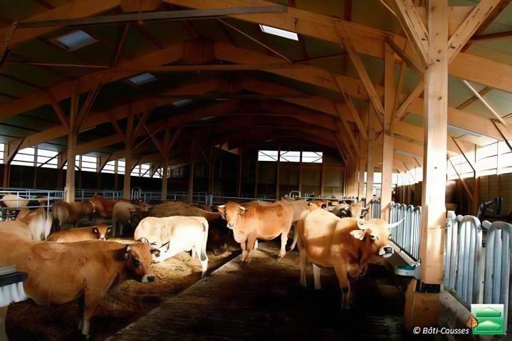 Réalisation de bâtiments agricoles d'élevage Occitanie