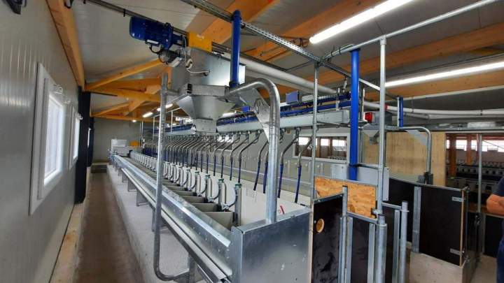 Construction de fermes pour bovins viande et lait Occitanie