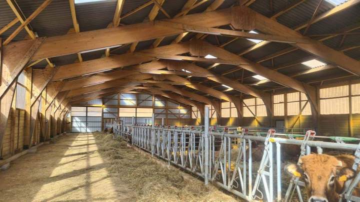 Construction de bâtiments pour troupeaux de bovins viande et lait Occitanie