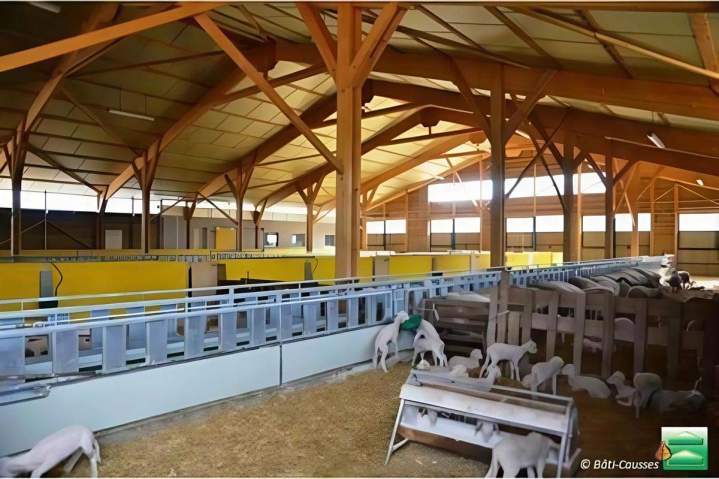Bâtiments pour élevage de moutons Occitanie